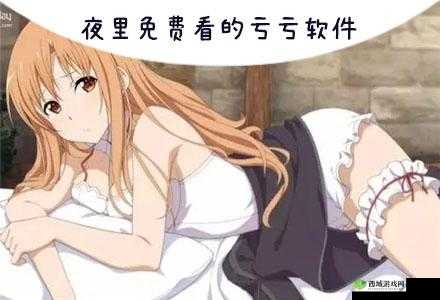 夜里 18 款禁用的软件 app:满足你深夜需求的宝藏神器