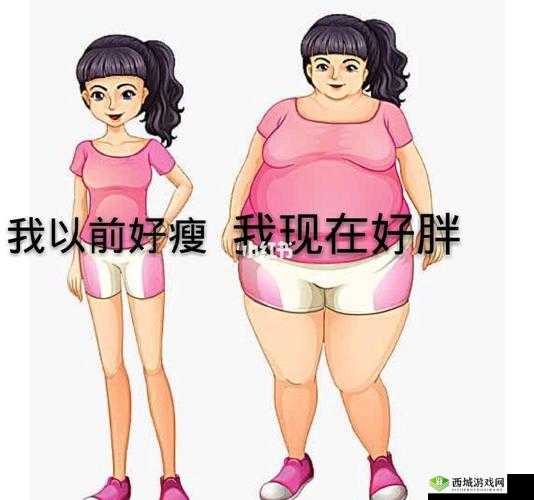 女孩子 bb 肥好用还是瘦好用:到底哪个更优