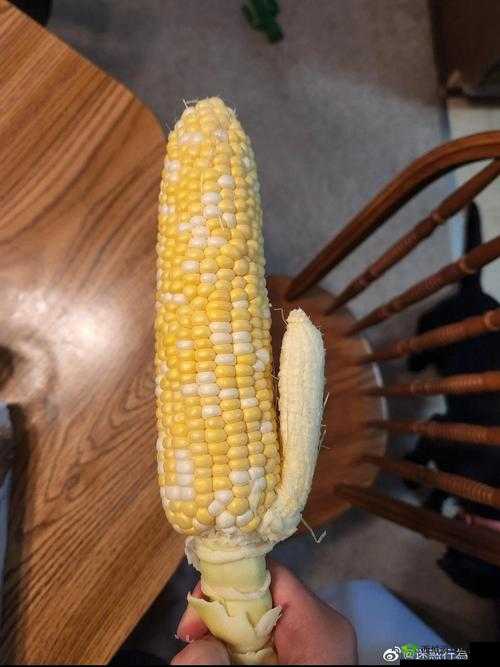 榴莲草莓西瓜茄子黄瓜:夏日蔬果大集合