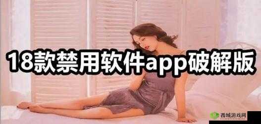 免费夜里 18 款禁用软件大全:畅享无限制资源