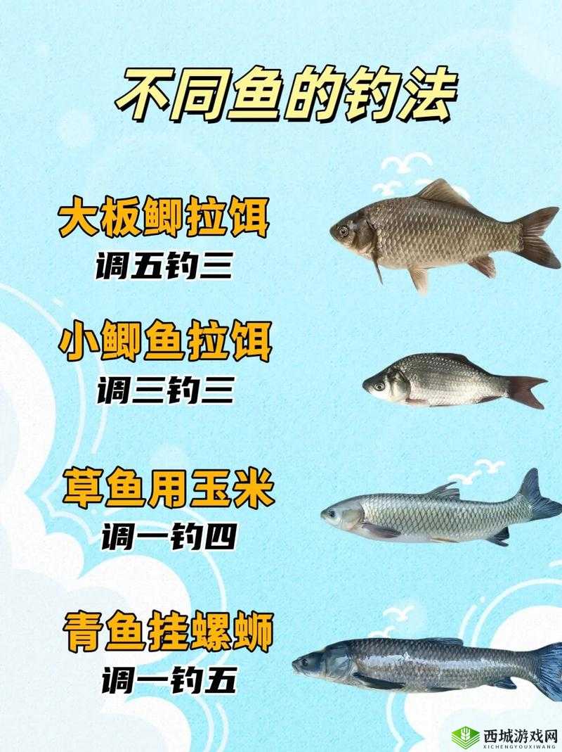 小森生活钓鱼技巧分享