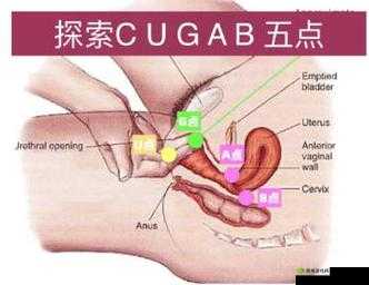 大荫蒂女人的神奇之处:让你感受前所未有的性福
