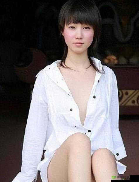 张雨欣人文艺术欣赏 PPT:领略艺术之美与人文内涵