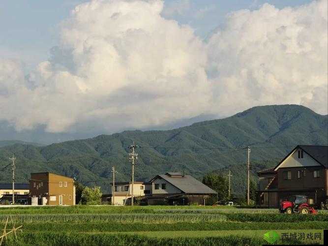 久久高清日韩农村:展现淳朴乡村生活与独特风情