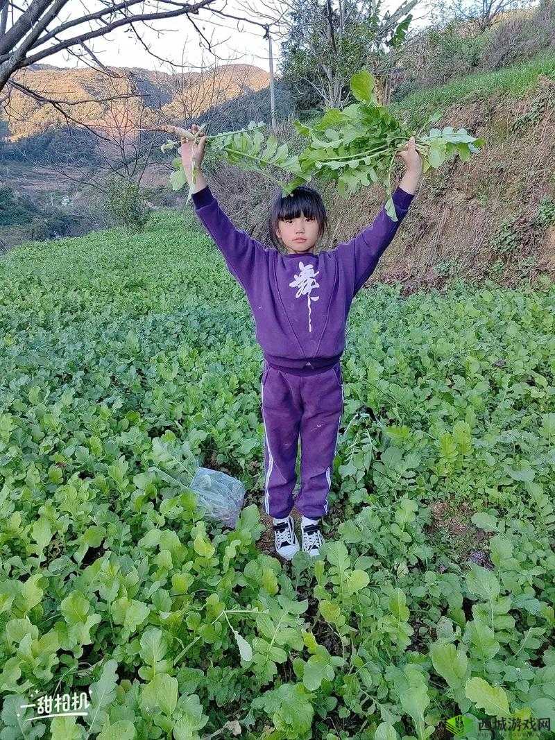 12 岁女孩拔萝卜最有效的一句是什么:探索其中奥秘