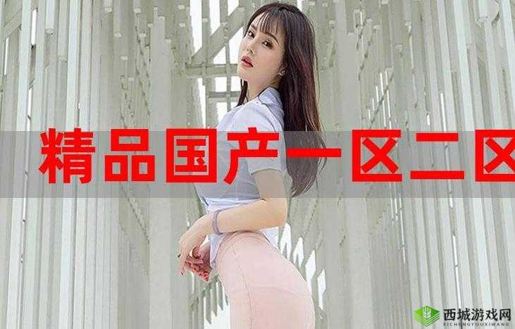 98 精产国品一二三产区:探索创新发展之路