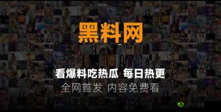 黑料今日黑料热门黑料:那些不为人知的背后故事
